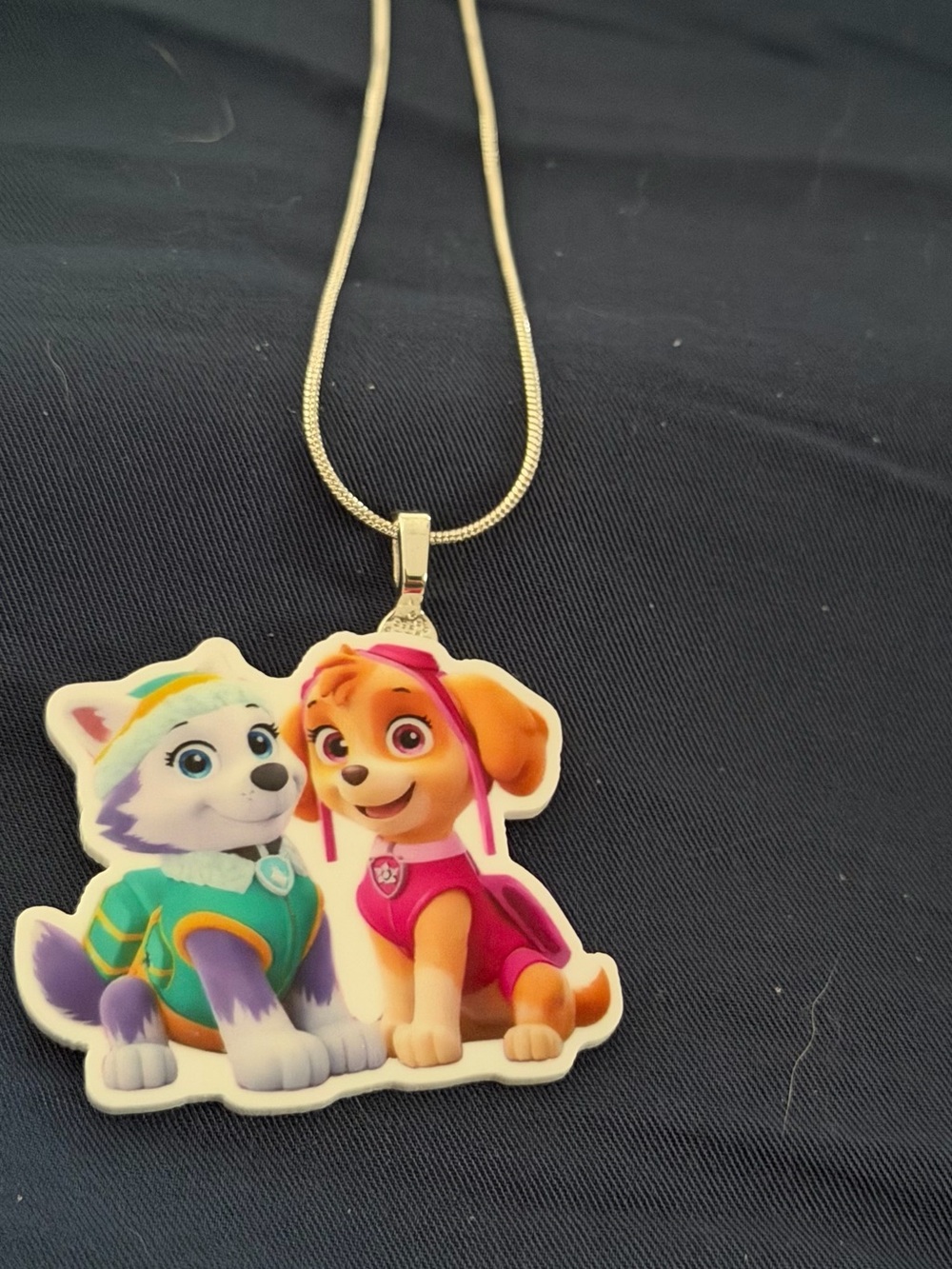 Pink & Teal Paw Patrol Pendant Necklace